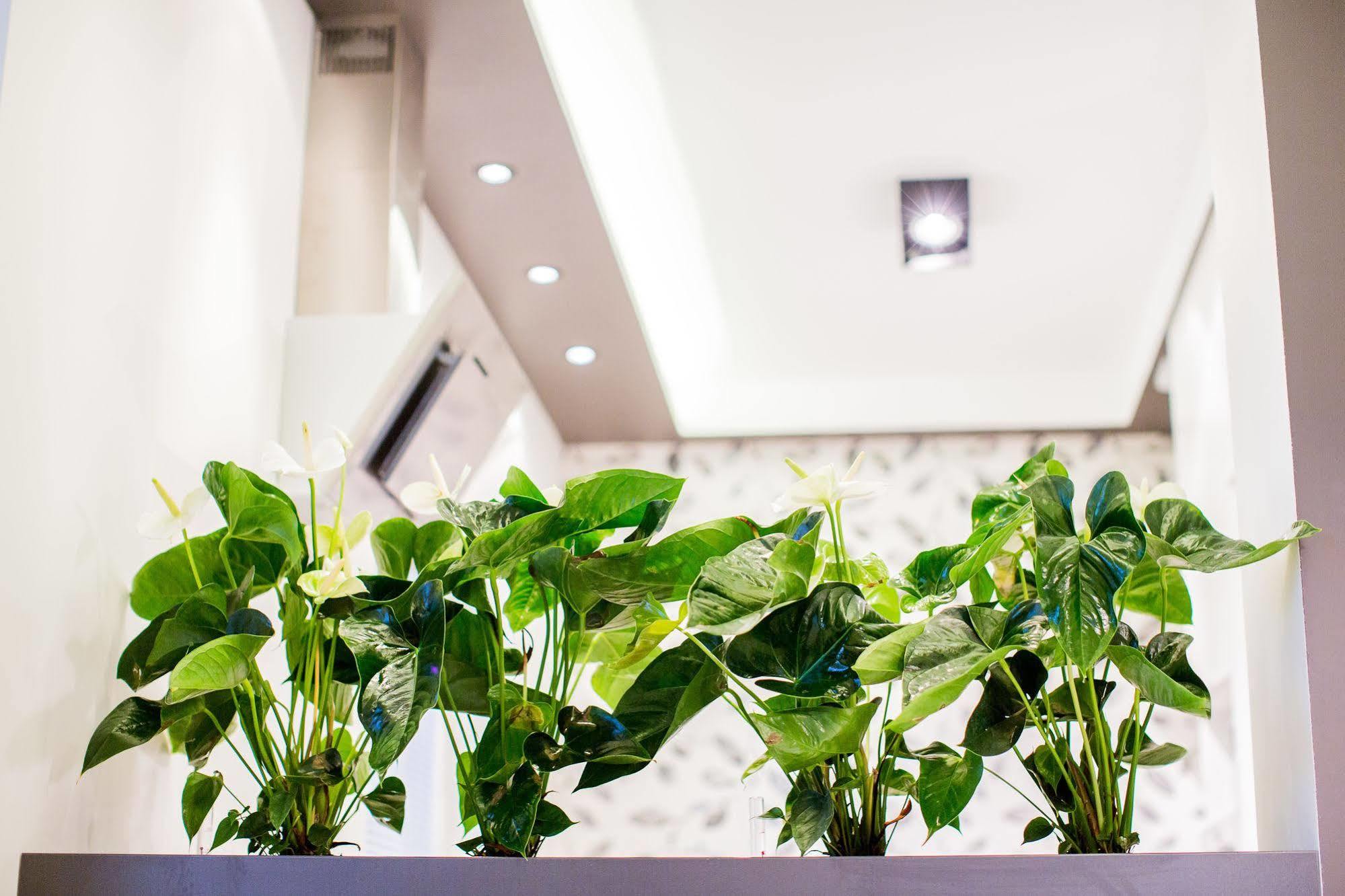Mojito Apartments - Botanica Wroclaw Exterior photo